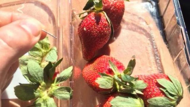 Ace de cusut înfipte în căpșune. Autoritățile din Australia investighează un fenomen cu potențial periculos