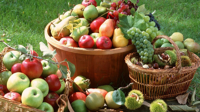 Recoltă mare de fructe, dar de joasă calitate, potrivit exportaorilor