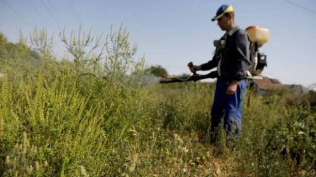 După 5 ani de acces interzis la loturi de teren de după traseul Râbnița – Tiraspol, fermierii și-au găsit pământurile în stare deplorabilă
