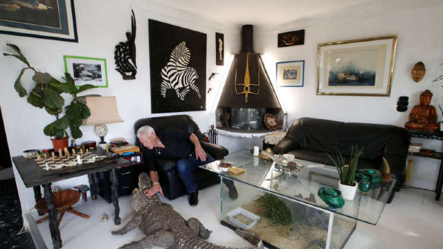 Un francez trăiește cu 400 de reptile în locuință
