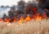 Incendiu de vegetație în nordul Atenei; un oraș a fost evacuat