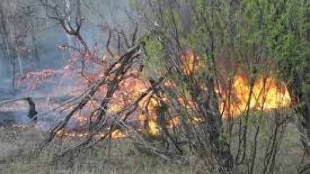 KORRESPONDENT: Autoritățile ucrainene anunță lichidarea incendiului izbucnit la un depozit de muniții din nordul țării