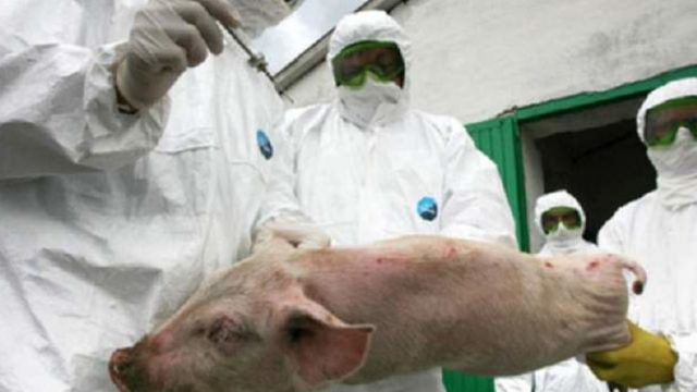 SUA au suspendat importurile de porci și produse din carne de porc din Polonia