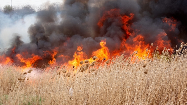 Pompierii au intervenit în mai multe raioane pentru a stinge incendiile care au distrus zeci de hectare de vegetație