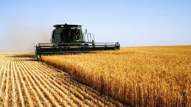 România înregistrează cel mai bun rezultat agricol din istorie, potrivit unui studiu