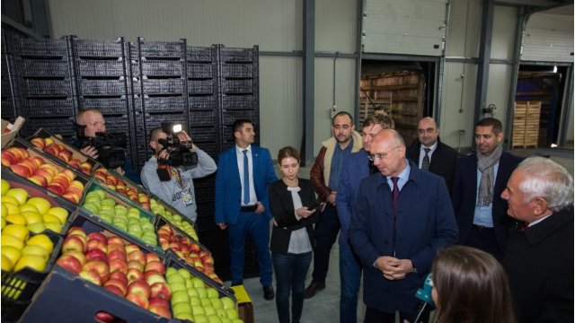 Parcul Agro-industrial din Sângerei va exporta primul lot de mere în Arabia Saudită
