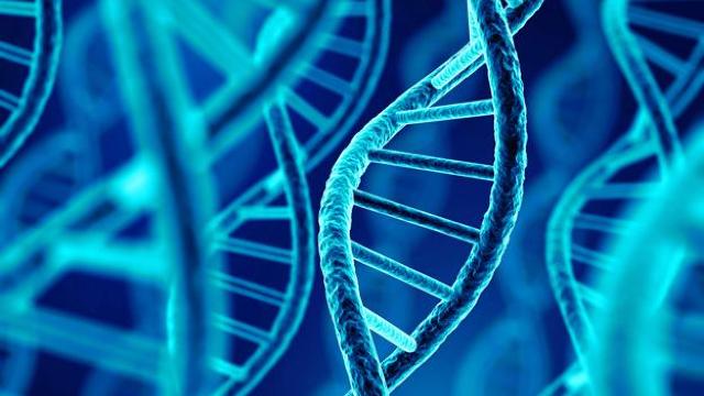 Guvernul propune spre ratificare Acordul interstatal privind schimbul de date ADN 