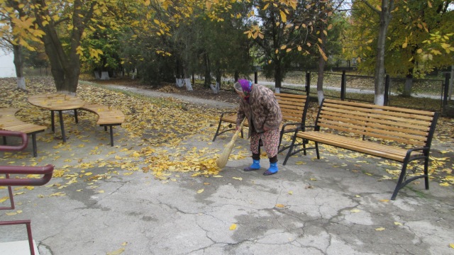 Locuitorii Chișinăului sunt chemați să ajute sâmbătă Primăria la strângerea frunzișului din municipiu