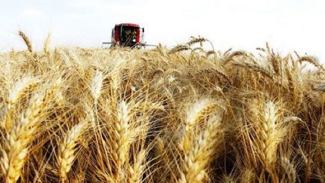 România a fost anul trecut a opta țară din UE în privința producției agricole totale