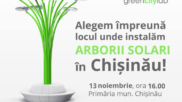 În Chișinău vor fi instalați doi palmieri solari