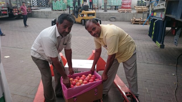 FOTO | Primul lot de mere moldovenești exportat în Dubai, după 24 de zile de călătorie pe mare
