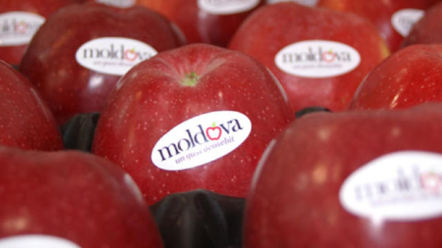 Agricultorii moldoveni au livrat al doilea lot de mere în Emiratele Arabe Unite
