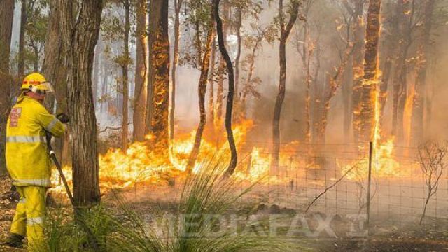Incendii extinse de vegetație în sud-estul Australiei din cauza temperaturilor ridicate
