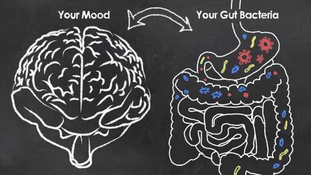 STUDIU | Bacteriile intestinale care ar putea juca un rol în apariția depresiei 