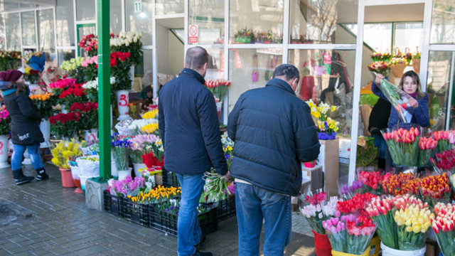Trandafirii sunt cele mai importate flori în Republica Moldova: aproape trei milioane în 2018