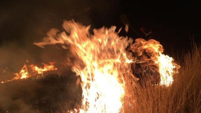 VIDEO | Din nou incendii de vegetație pe zeci de hectare în doar 24 de ore. Pompierii au intervenit și în apropierea mai multor străzi din Capitală