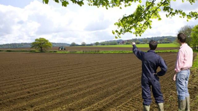Producătorii agricoli care se asociază pot beneficia de subvenții din partea statului
