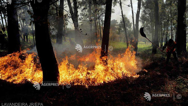 Incendiu de pădure în Spania: Pompierii luptă cu flăcările în Galicia