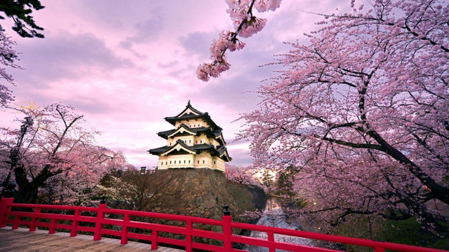 Imagini splendide cu fenomenul sakura din Japonia (foto)
