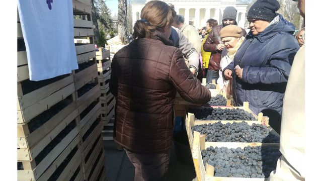 Moldovenii au cumpărat într-o singură zi peste 100 de tone de struguri autohtoni. A fost anunțată data următorului târg  