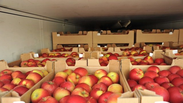 Rosselhoznadzor respinge circa 21 de tone de mere din R.Moldova