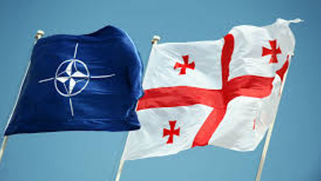Georgia și NATO au lansat un exercițiu militar comun pentru îmbunătățirea interacțiunii în situații de criză