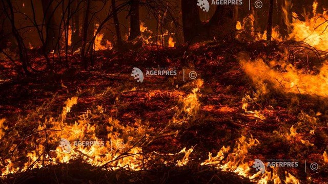 Numeroase incendii de vegetație devastează nordul Spaniei, în urma unor temperaturi foarte ridicate
