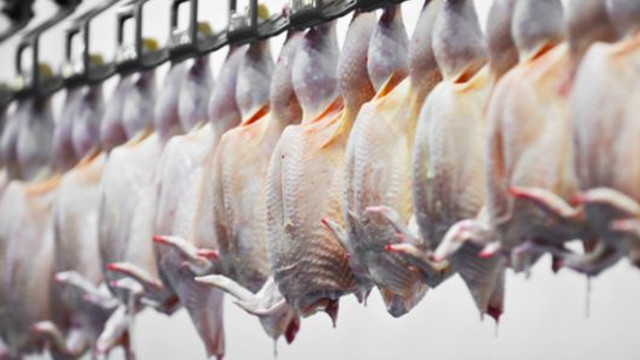 Producția de carne de pasăre în UE a atins un nou record în 2018