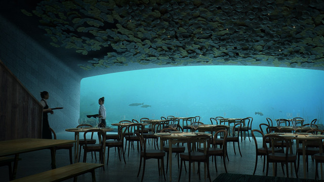 Țara în care se deschide primul restaurant subacvatic din Europa. Cât costă o masă completă cu 18 feluri pe bază de ingrediente locale și fructe de mare