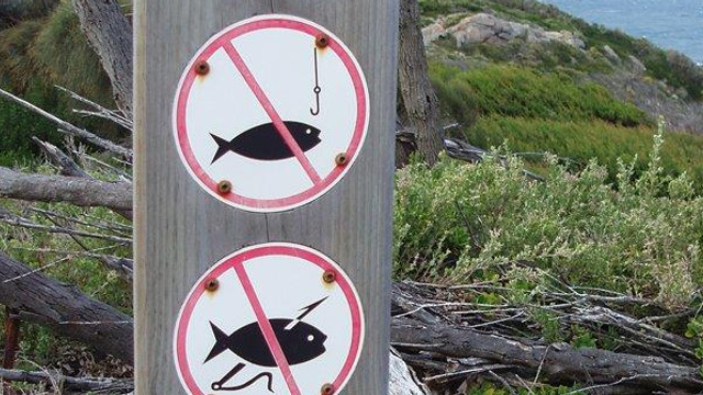 Este interzis pescuitul scrumbiei pe Nistru