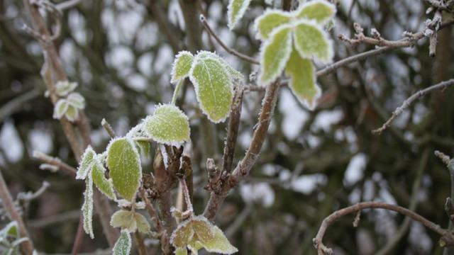 METEO | Înghețuri pe timp de noapte și posibile ninsori slabe, prognozate pentru săptămâna viitoare