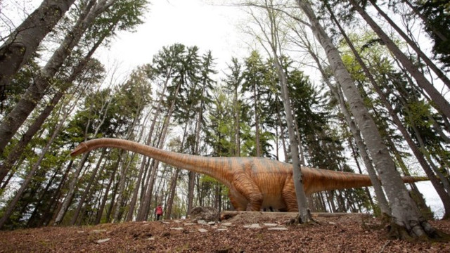 Dino Park și-a dublat suprafața și numărul de „locatari