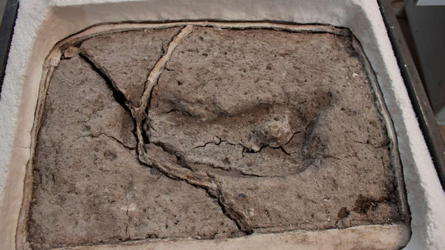 Cea mai veche urmă de om în America a fost descoperită în Chile. De când a fost datată de arheologi