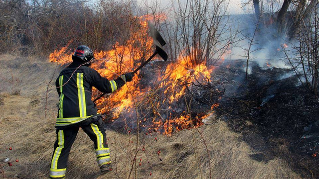 Peste 200 de hectare de vegetație au fost cuprinse de flăcări în ultimele 24 de ore