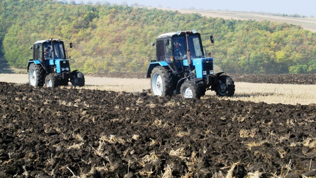 Producția agricolă se reduce în Republica Moldova, conform statisticilor oficiale