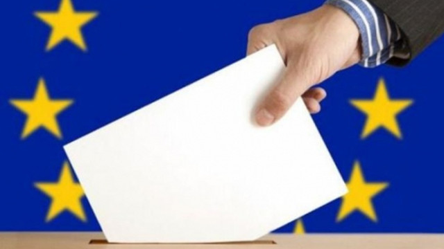 Cum pot cei care dețin cetățenia României să afle online mai multe informații despre cum pot vota la alegerile europarlamentare