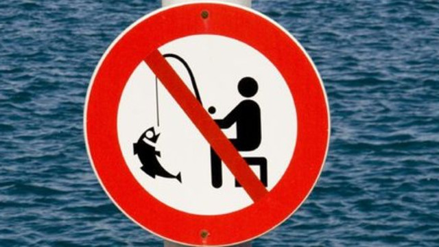 Agenția de Mediu interzice pescuitul sportiv, amator și de agrement, timp de 62 de zile consecutive