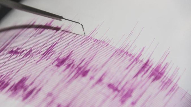 Cutremur cu magnitudinea 4 s-a produs în judetul Buzău