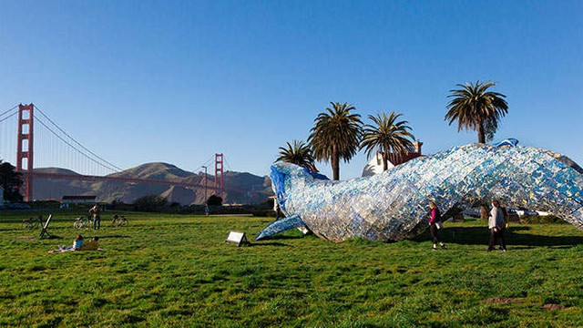 O sculptură din plastic reciclat reprezentând o balenă în mărime naturală, expusă la San Francisco
