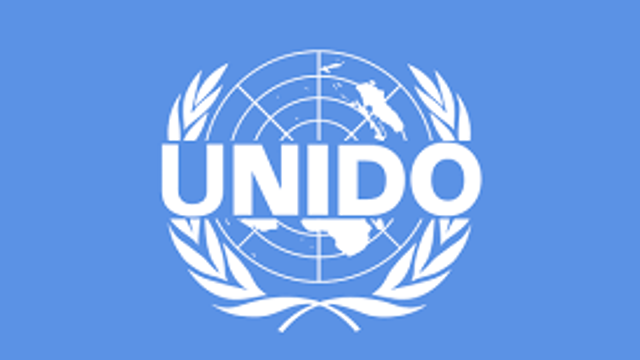 A fost lansat Programul de țară – UNIDO pentru Dezvoltare Inclusivă și Durabilă 
