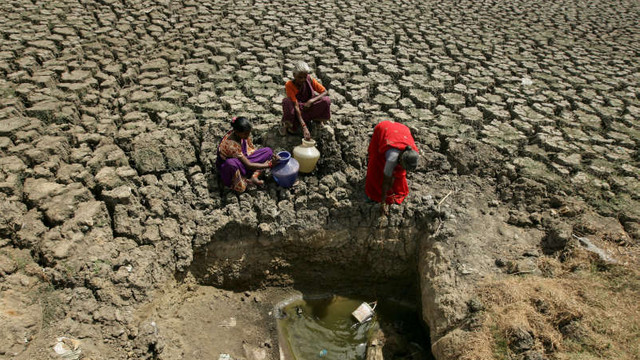 Căldură extremă în India: 50 de morți în nordul țării