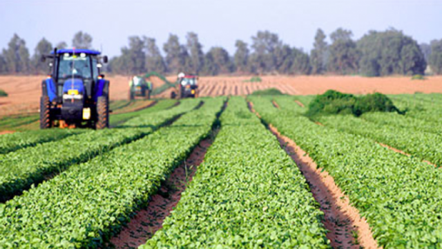 Agricultorii așteaptă de un an să fie votată legea privind agricultura ecologică 