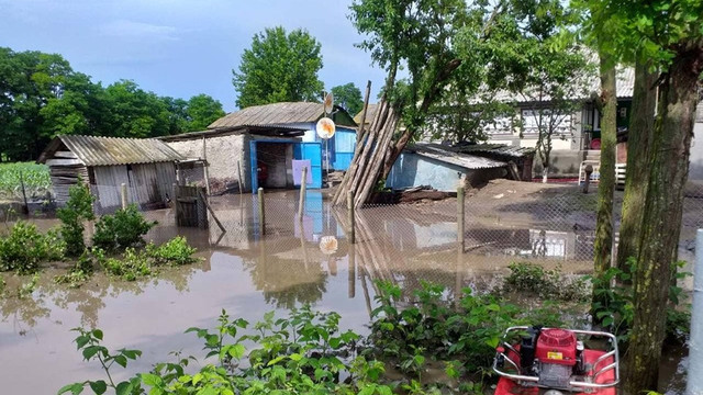 FOTO/VIDEO | Sute de hectare de culturi agricole, locuințe și instituții de învățământ, grav afectate de ploile din ultimele zile