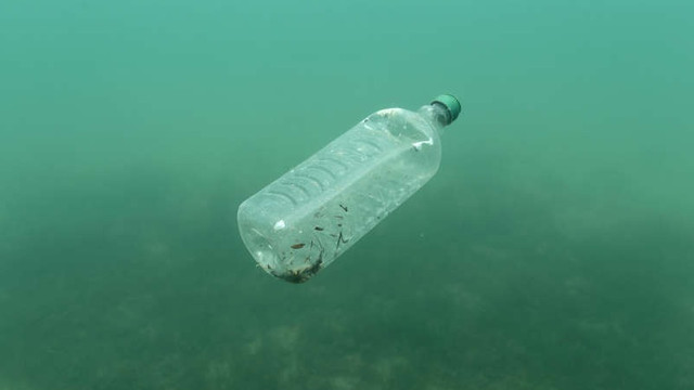 Microparticule de plastic, descoperite în toate râurile testate de Greenpeace în Marea Britanie