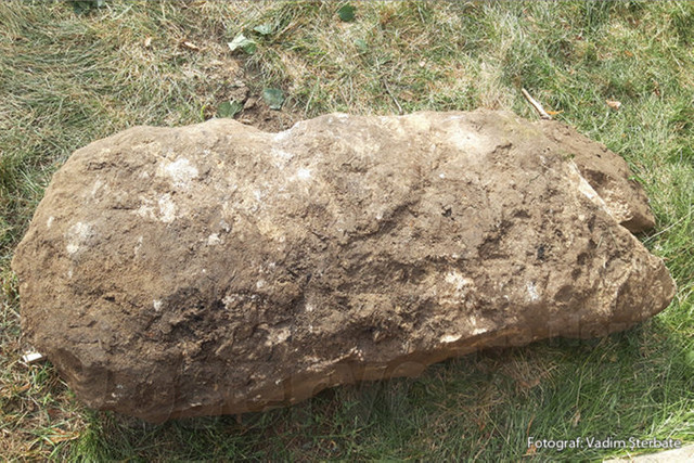 VIDEO/FOTO | Piatră funerară din epoca bronzului, descoperită în preajma Cetății Soroca (Observatorul de Nord)