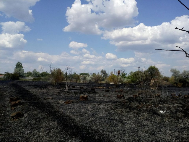 FOTO | Incendiu în preajma unei baze de petrol din orașul Basarabeasca 