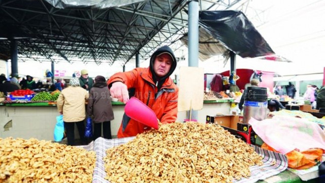 Cine a monopolizat exportul nucilor din R.Moldova (Mold-Street)