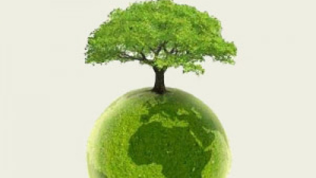 STUDIU | Pe Terra s-ar putea planta copaci pe o suprafața echivalentă cu cea a Statelor Unite