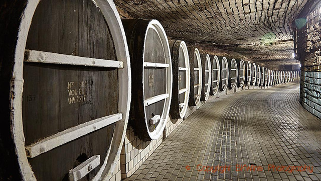 Forbes recomandă turiștilor amatori de vin o vacanță în Republica Moldova