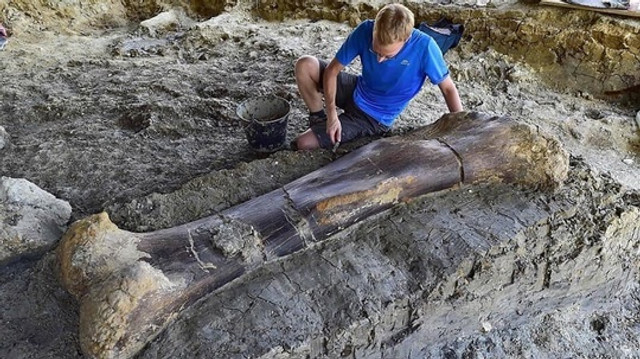 FOTO | Un femur gigant de dinozaur, descoperit în Franța